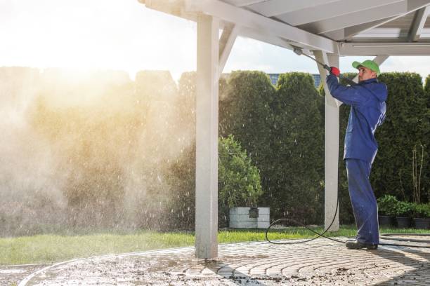 Best Soft Washing  in Western Lake, TX